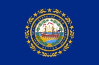 New Hampshire State Flag